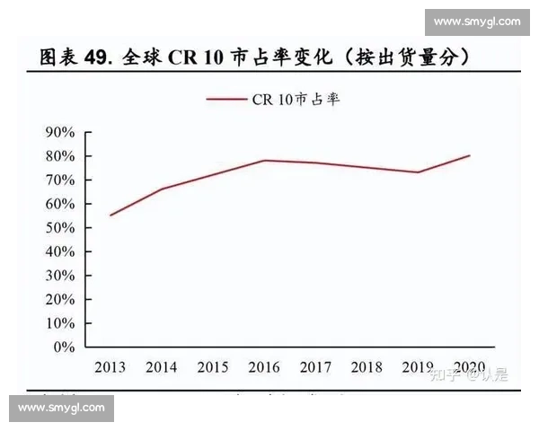 以市占率持续提升为核心驱动的增长战略与竞争力升级路径研究